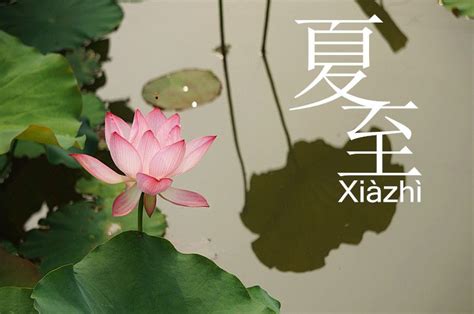 夏至|Xiazhi